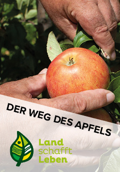 Der Weg des Apfels in Österreich