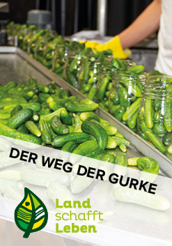 Der Weg der Gurke in Österreich