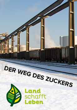 Der Weg des Zuckers in Österreich