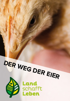 Der Weg der Eier in Österreich