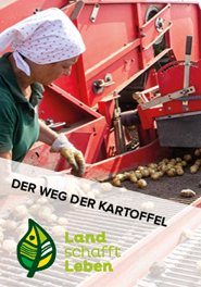 Der Weg der Kartoffel in Österreich