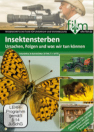 Insektensterben