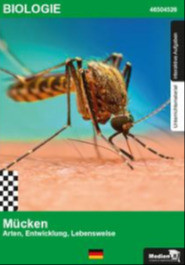 Mücken