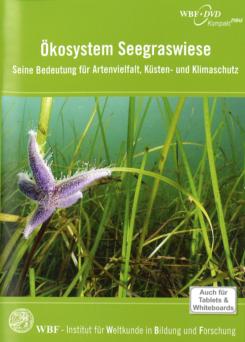Ökosystem Seegraswiese