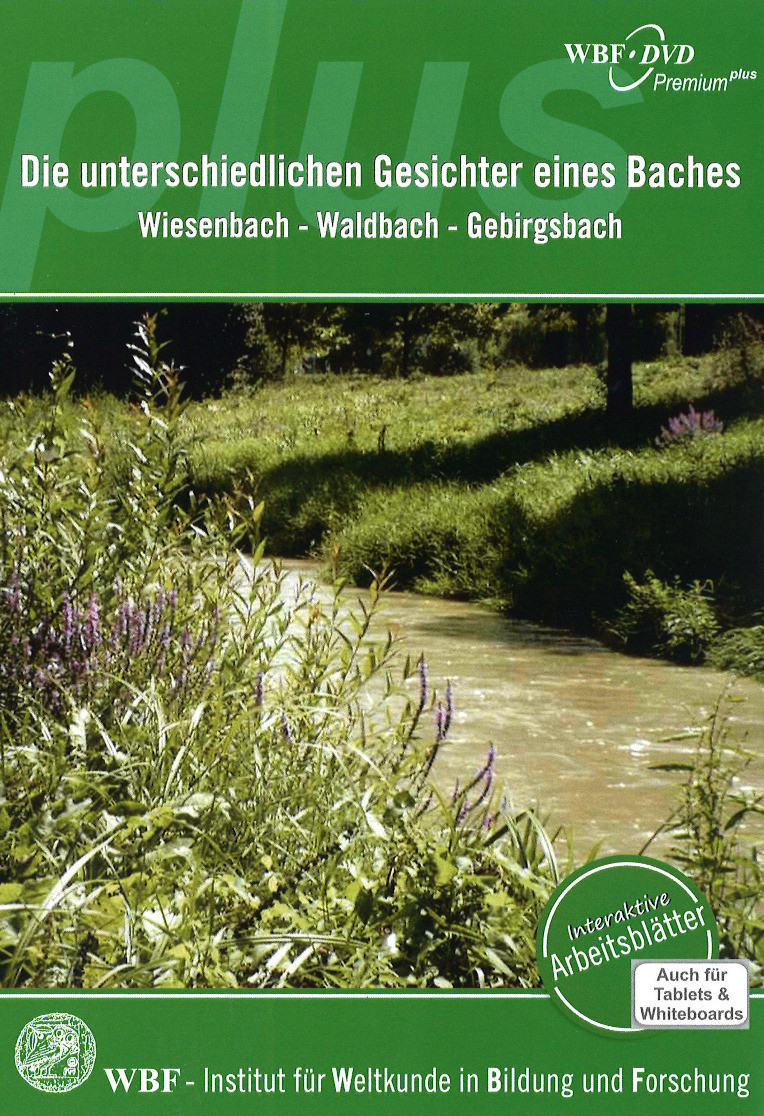 Die unterschiedlichen Gesichter eines Baches