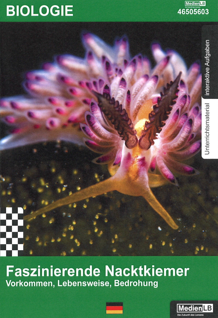 Faszinierende Nacktkiemer