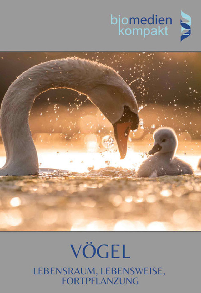 Vögel: Lebensraum, Lebensweise, Fortpflanzung