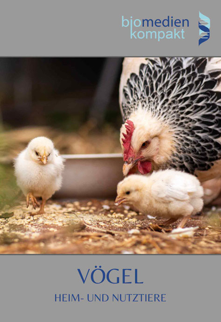 Vögel: Heim- und Nutztiere