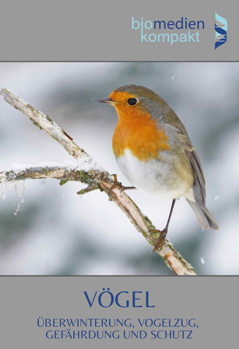 Vögel: Überwinterung, Vogelzug, Gefährdung und Schutz