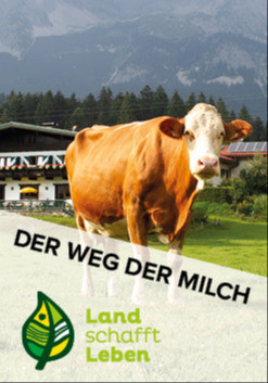 Der Weg der Milch in Österreich
