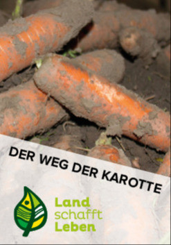 Der Weg der Karotte in Österreich