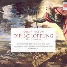 HAYDN, F.J.: Schopfung (Die) (The Creation) [Oratorio] (Koch)
