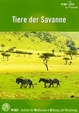 Tiere der Savanne