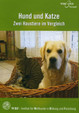 Hund und Katze: Zwei Haustiere im Vergleich