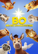 Bo und der Weihnachtsstern