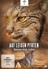 Auf leisen Pfoten: Spaniens letzte Luchse