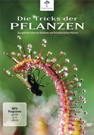 Die Tricks der Pflanzen (2/2) - Geniale Verführungen
