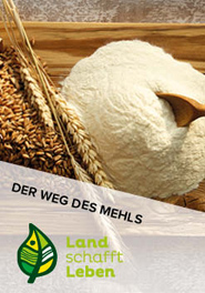 Der Weg des Mehls in Österreich