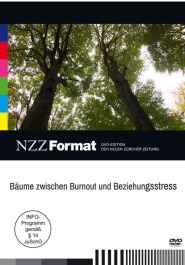 Bäume zwischen Burnout und Beziehungsstress